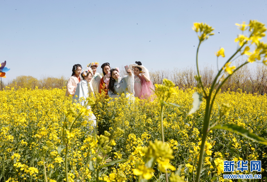 游客在封丘县陈桥湿地的油菜花观赏区游玩。