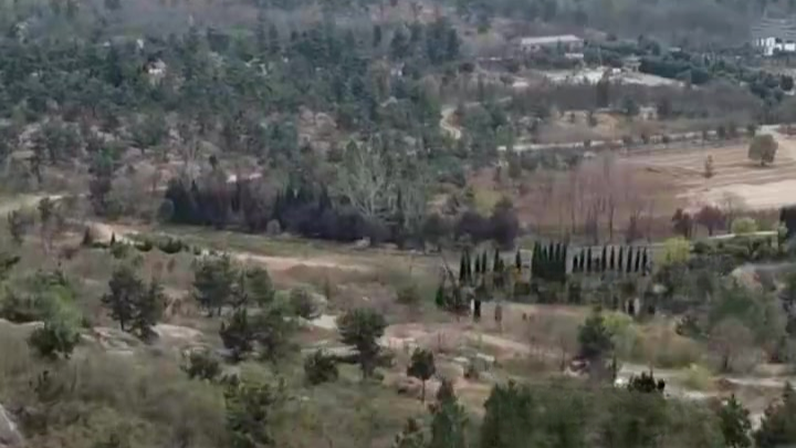 公司租千亩山林建生态园，却违规建96座墓穴出售，官方：多人已被判刑或处分