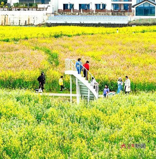 高岭&middot;中国村的花海（浮梁文旅 供图）