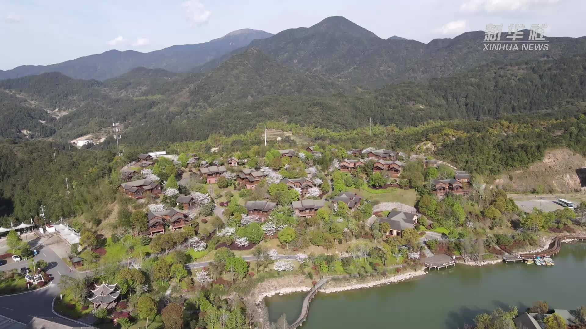 瞰中国｜福建德化：樱花正当时