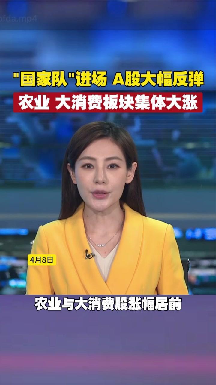 “国家队”进场A股大幅反弹，农业、大消费板块集体大涨