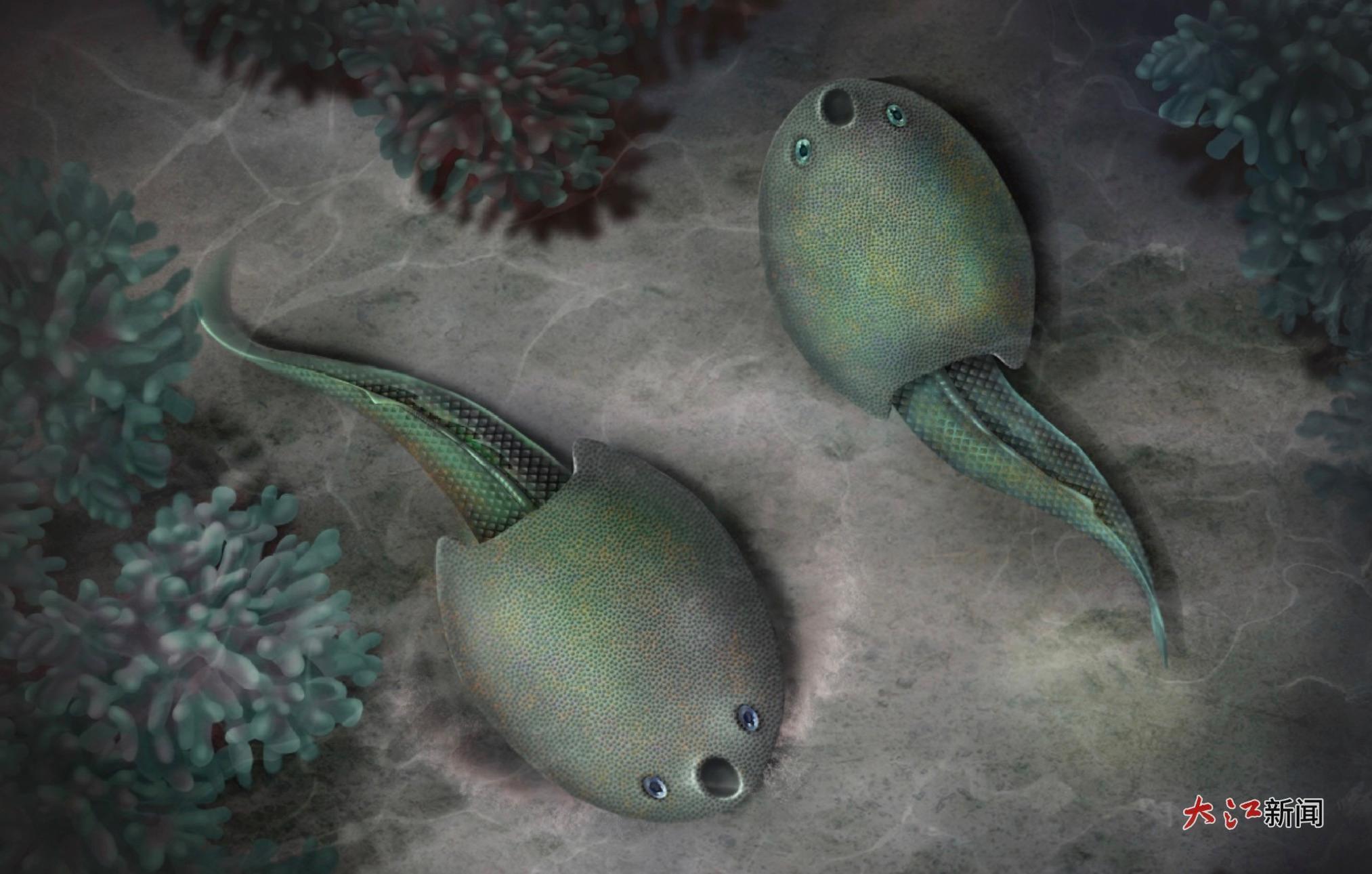 隆平德安鱼生态复原图（史爱娟 绘）