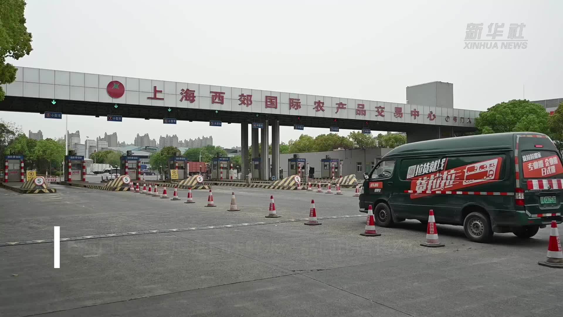 上海口岸一季度进口冰鲜水产品同比增长6.6%