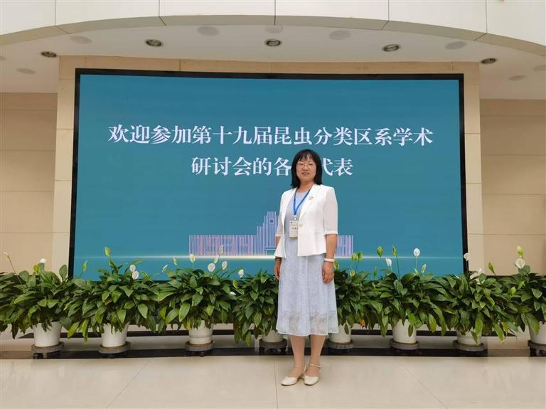 尚素琴