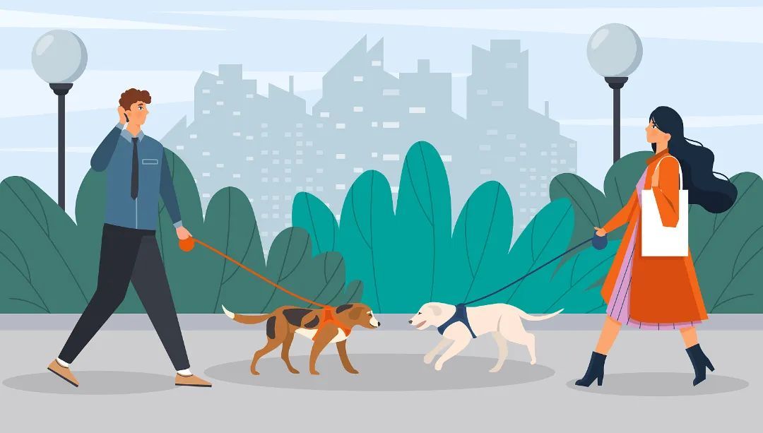 湖南省2025年狂犬病防控宣传周系列科普