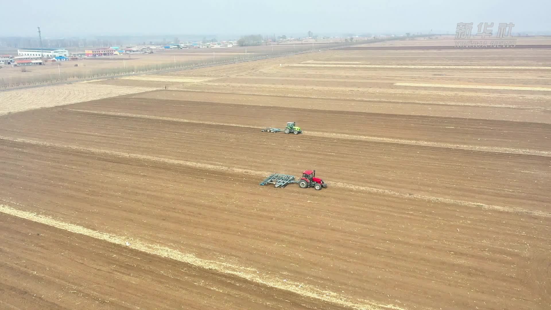 瞧一瞧！黑土地上种粮大户如何备春耕
