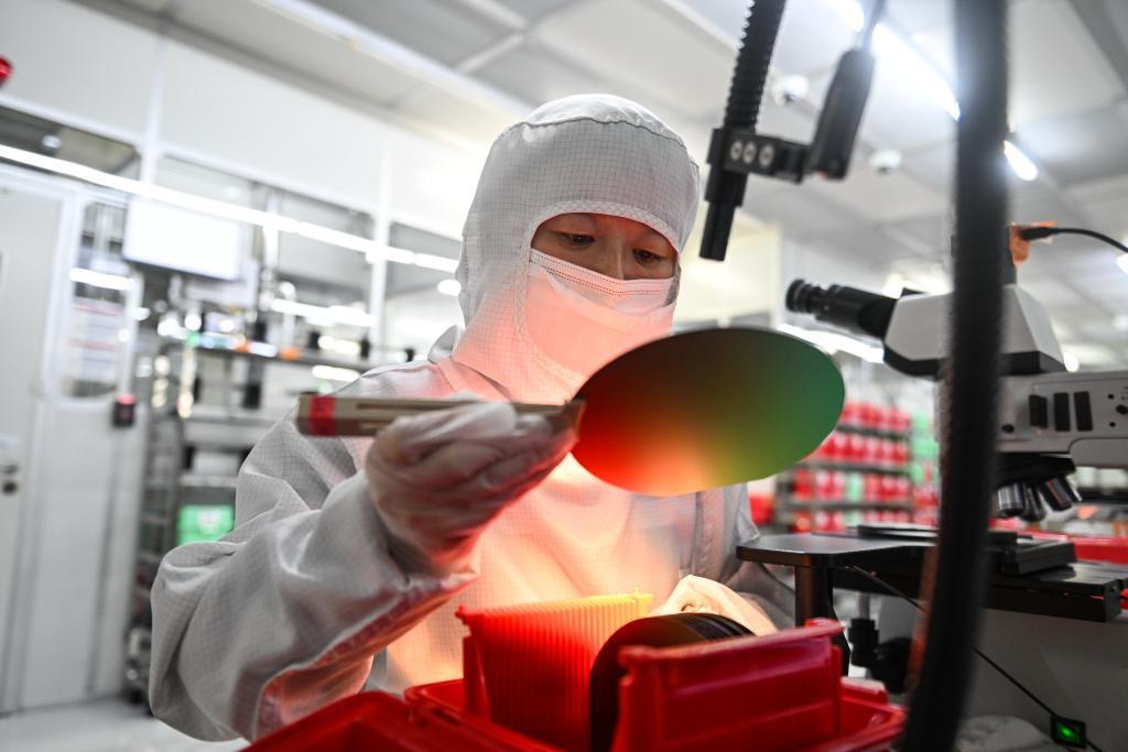 在苏州工业园区纳米产业技术研究院有限公司，工作人员在生产车间检查晶圆质量（2024年11月12日摄）。新华社记者 季春鹏 摄