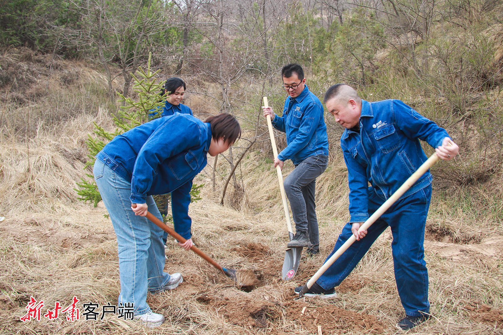 4月8日，通渭县城区面山绿化义务植树活动在平襄镇温泉村北山展开，全县县直128个责任单位的干部职工挥锹铲土、扶苗培根，为通渭生态建设再添新绿。新甘肃&middot;甘肃日报通讯员　张赛　李和