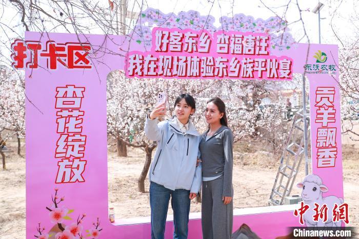 图为游客在杏花林打卡区拍照　陈坤　摄