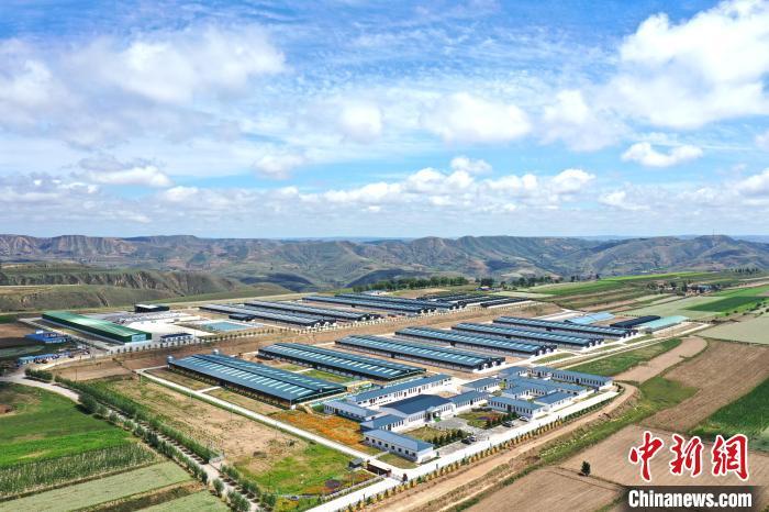 图为甘肃省庆阳市环县庆环肉羊制种有限公司俯瞰全景图（资料图）　环县融媒体中心供图