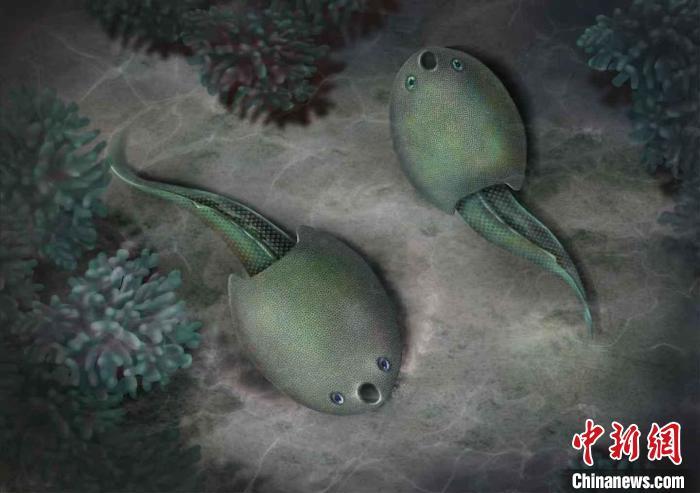 隆平德安魚(yú)生態(tài)復(fù)原圖。史愛(ài)娟 繪