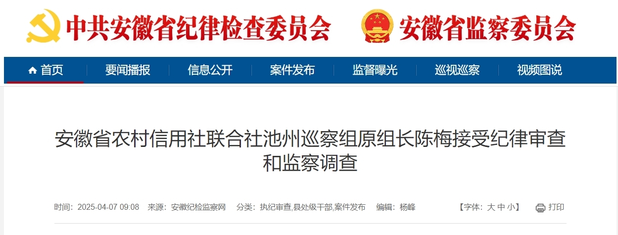 安徽省农村信用社联合社池州巡察组原组长陈梅被查！