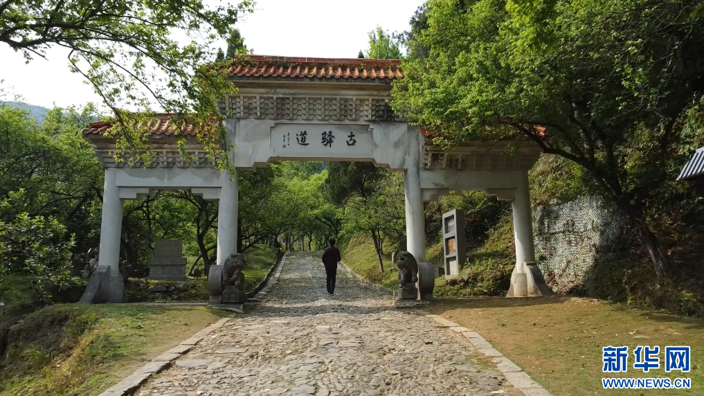 图为江西大余梅关古驿道。新华网发 廖佳 摄