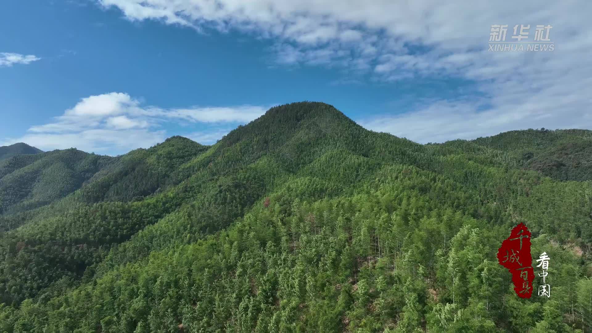千城百县看中国｜寻闽味：春笋炒肉