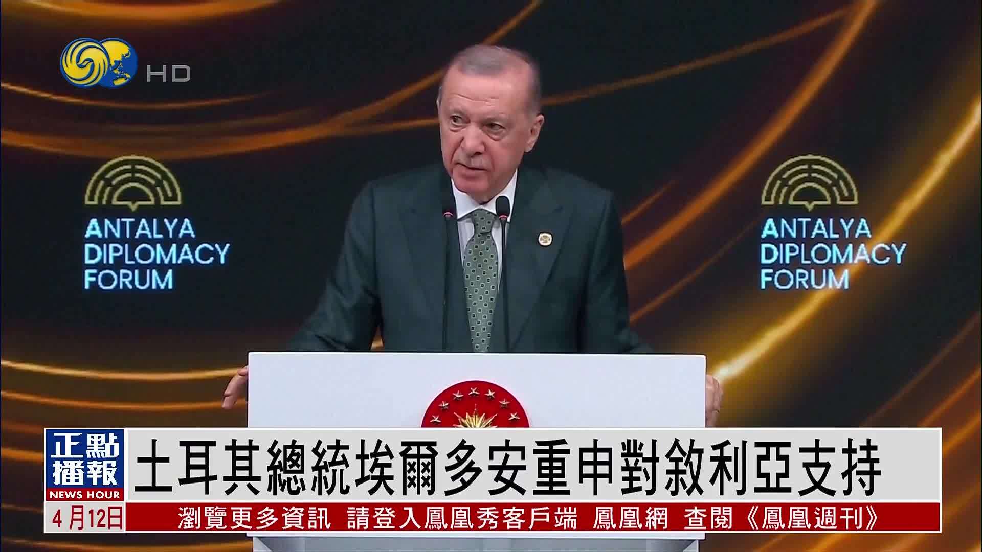 土耳其总统埃尔多安重申对叙利亚支持