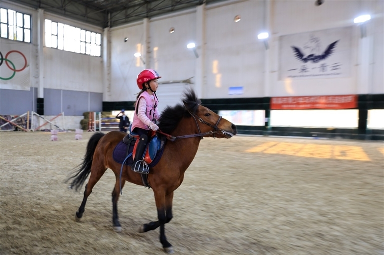 产业园马术中心，一个孩子正在骑马锻炼。江西日报全媒体记者 李 征摄