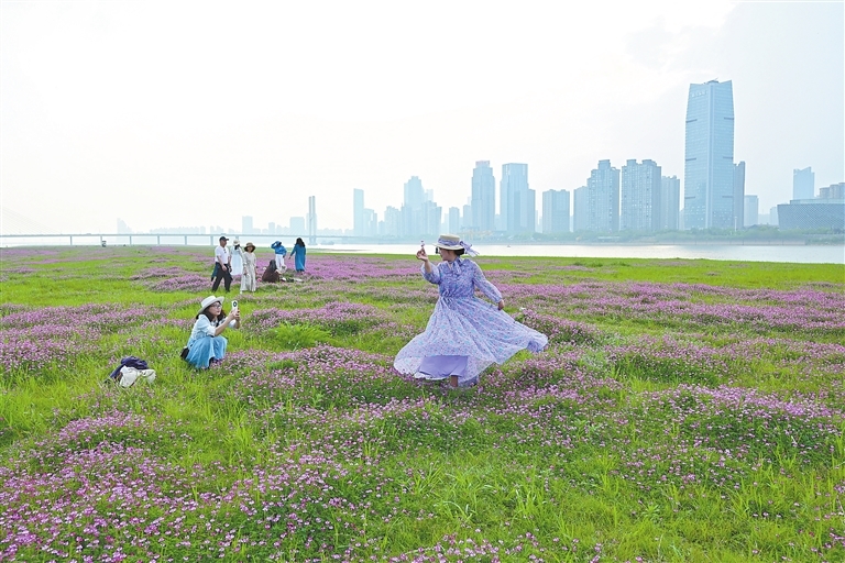 如画山水迎客来（图）