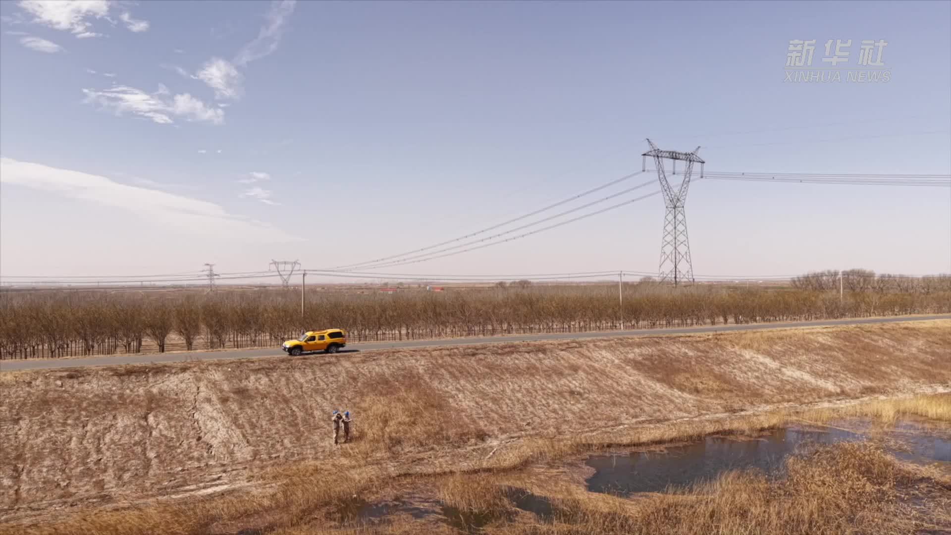 天津电力多举措迎战极端大风 预警部署千余人应急保供电