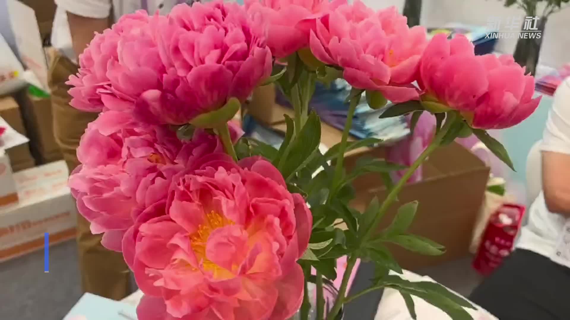 第27届中国国际花卉园艺展览会在上海开展