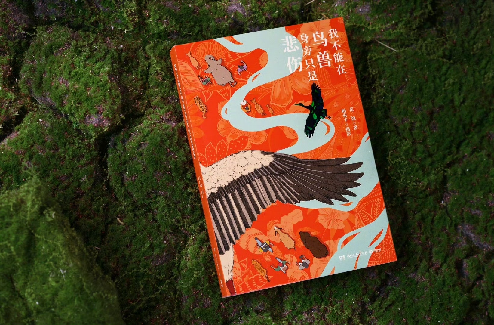 《我不能在鸟兽身旁只是悲伤》书籍封面