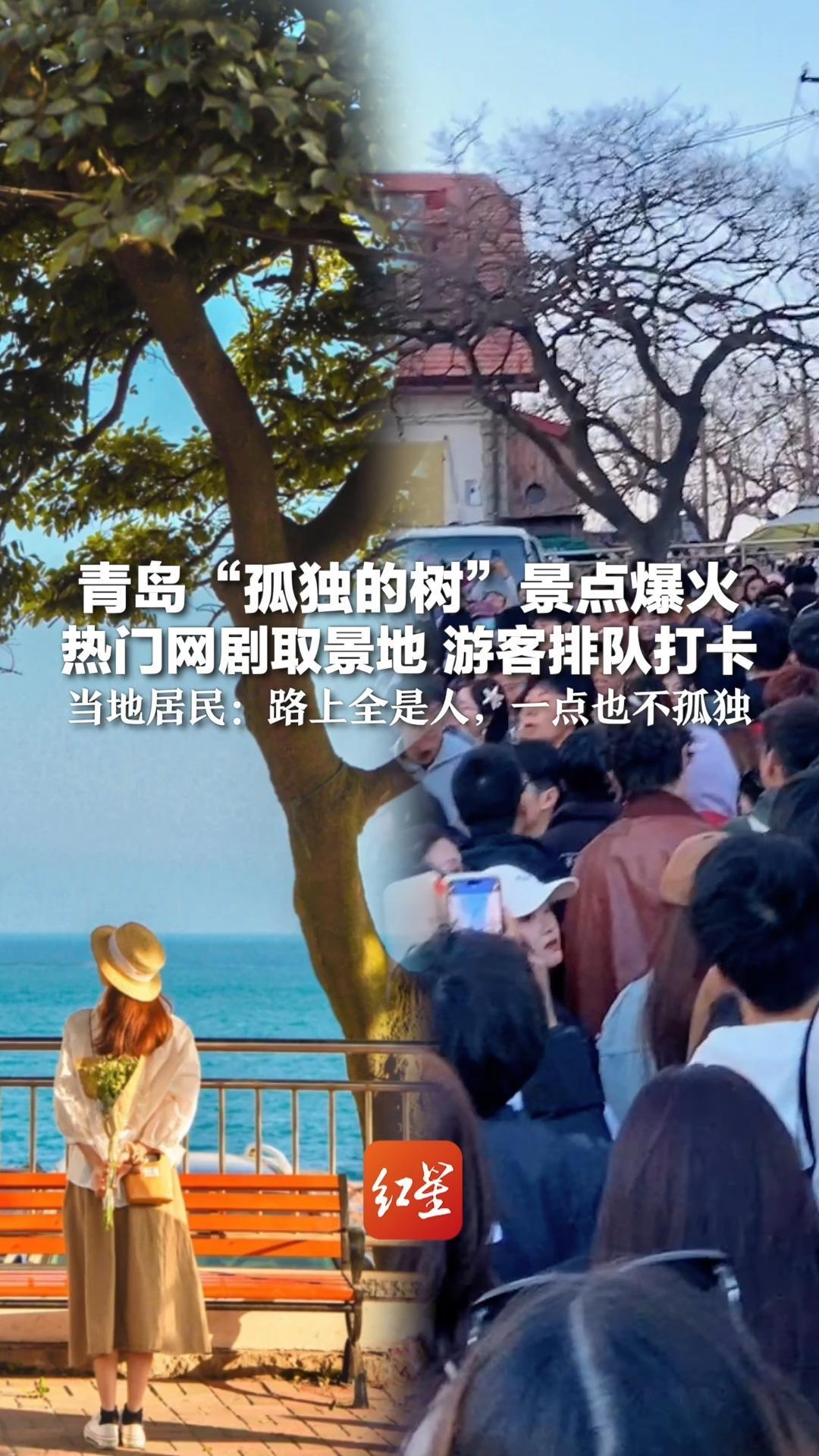 青岛“孤独的树”景点爆火 热门网剧取景地 游客排队打卡 当地居民：路上全是人，一点也不孤独