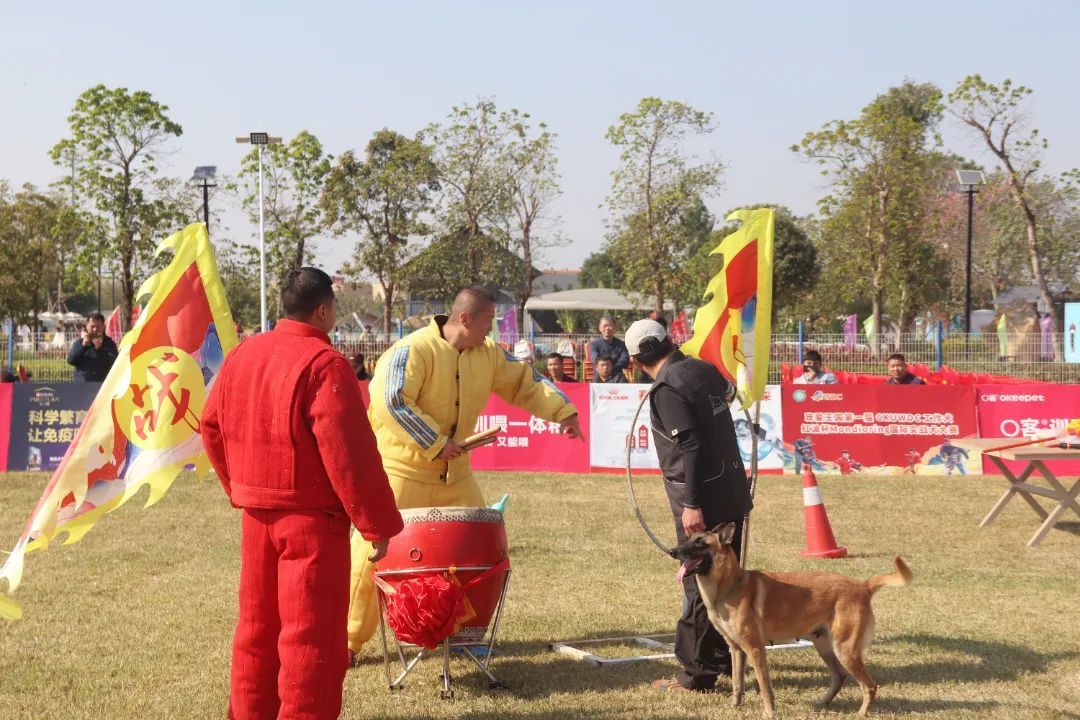 图:2024年12月21日—22日,宠爱王国第一届CKUWDC工作犬红波杯MONDIORING国际实战犬大赛在乐平酷贝e族宠物文化产业基地举行