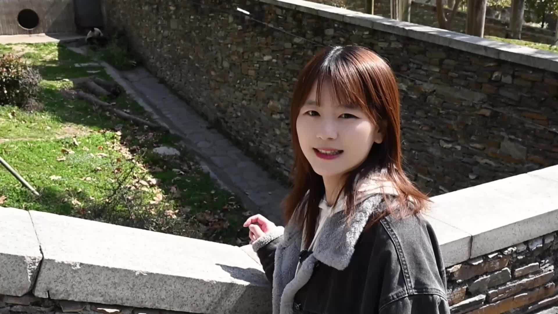 Vlog|职业新探：体验大熊猫饲养员的一天