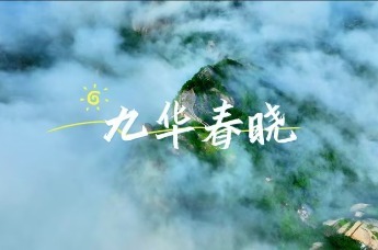 山間翠意瘋長，繁花肆意綻放，快跟著鏡頭，共赴這場九華山春日之約 ！