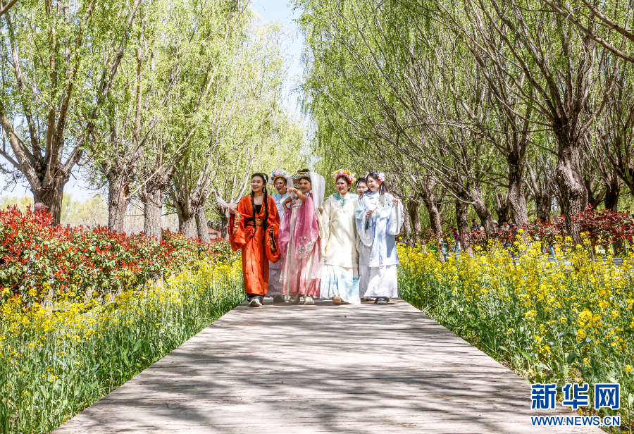 游客在封丘县陈桥湿地的油菜花观赏区游玩。