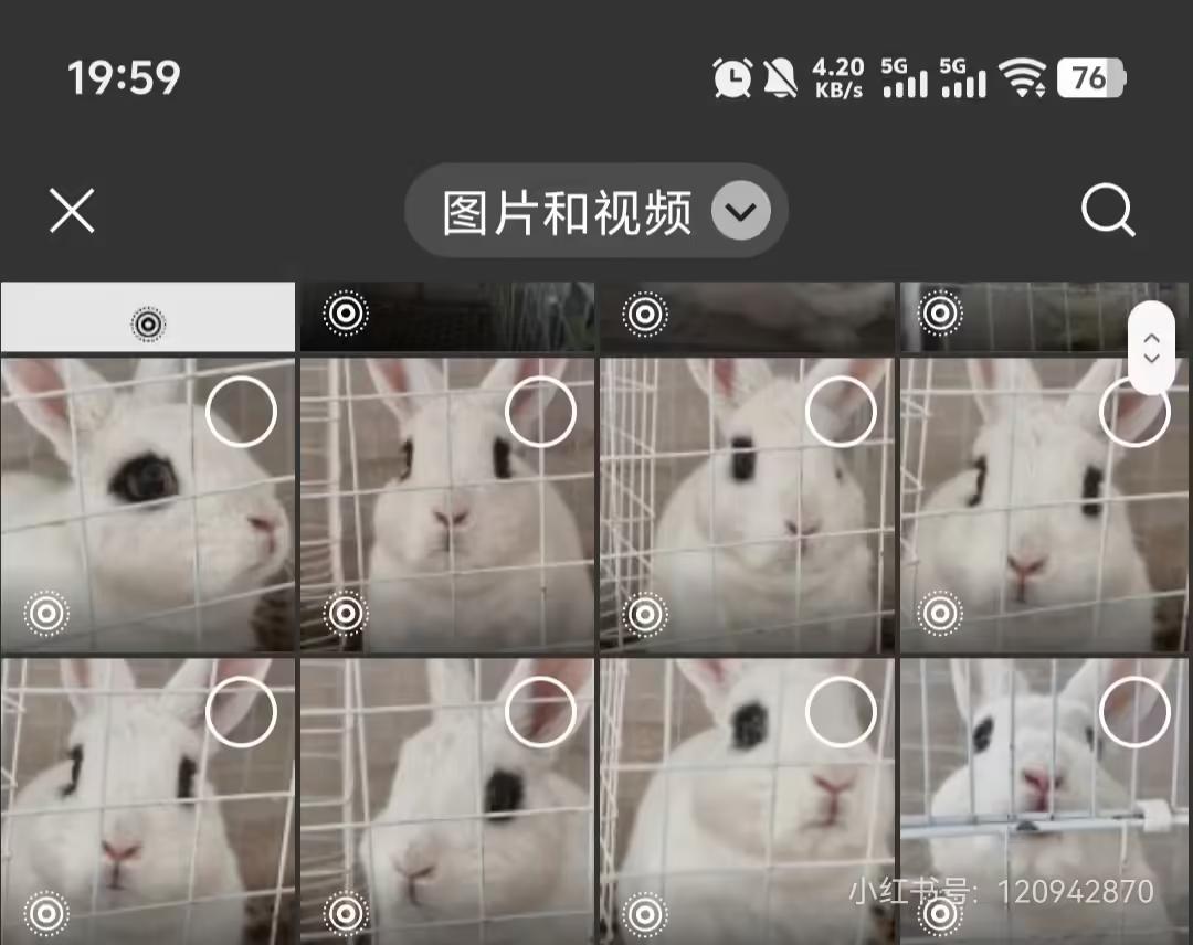 消息称安卓端微信开启朋友圈实况照片灰度测试