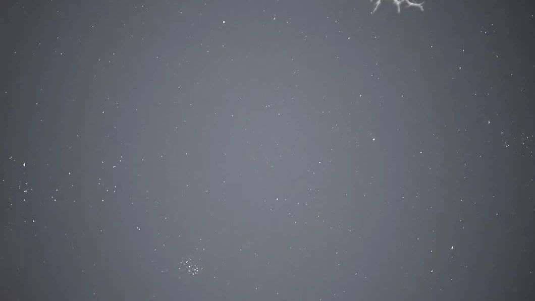 哇，看！好清晰呀，那是木星和金星