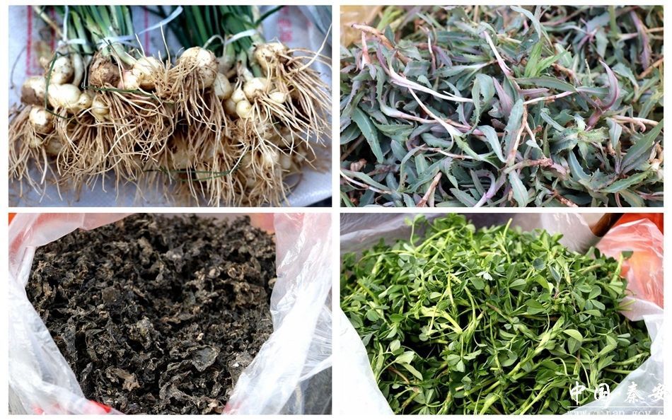 陇原春味儿抢“鲜”上市　快约饭搭子一起上头