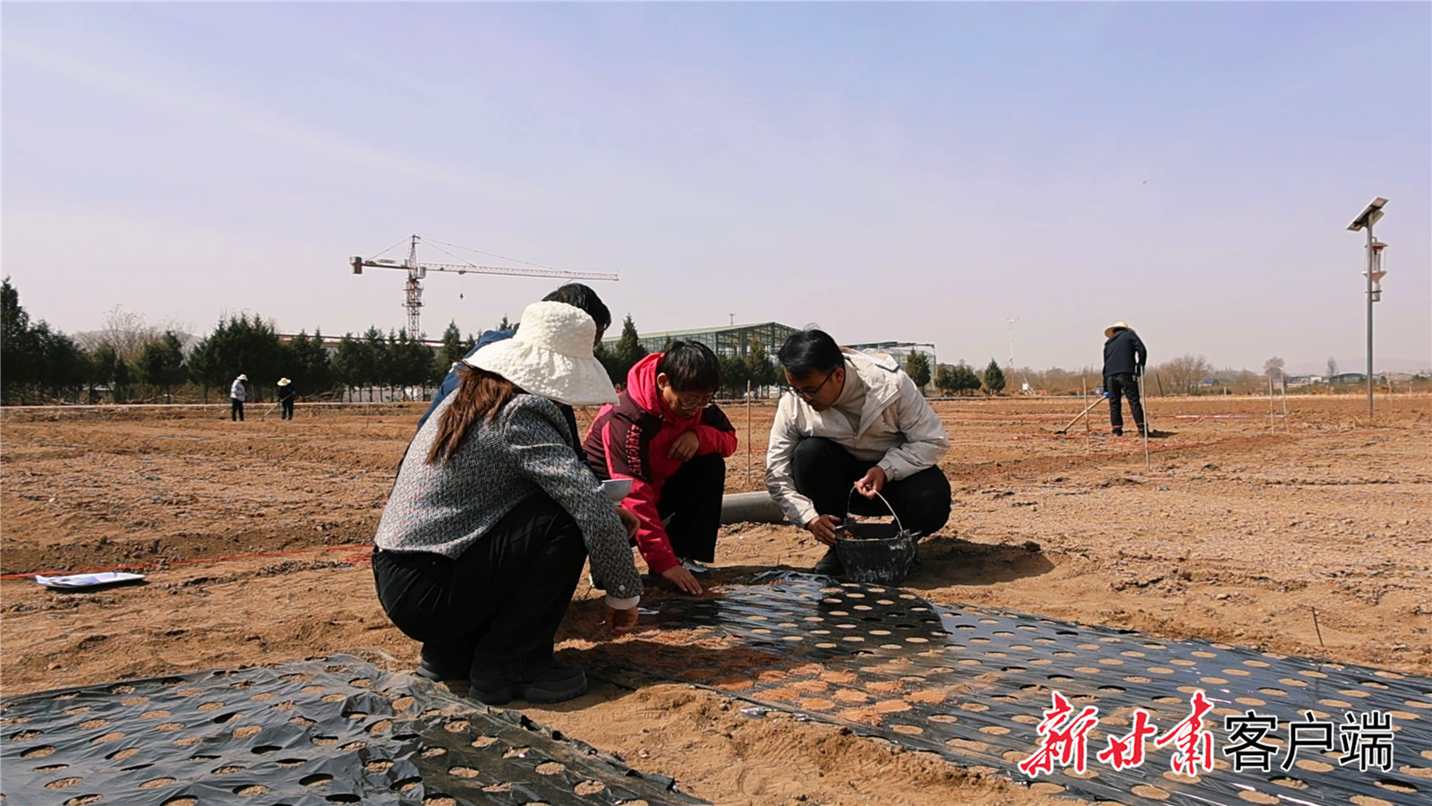 陇西药圃园实验人员将174克太空中药材种子播种到实验田　陇西县融媒体中心供图