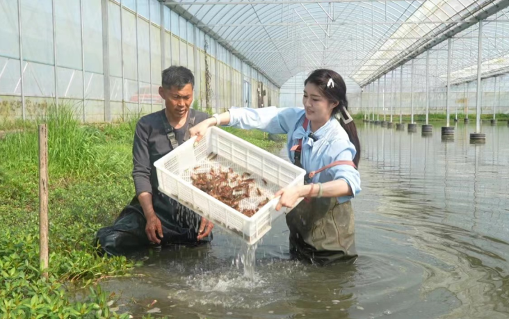 睢宁：龙虾四季鲜解锁“鲍”富密码