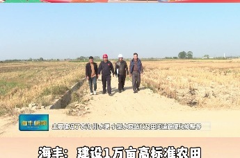 海丰：建设1万亩高标准农田 夯实民生基础