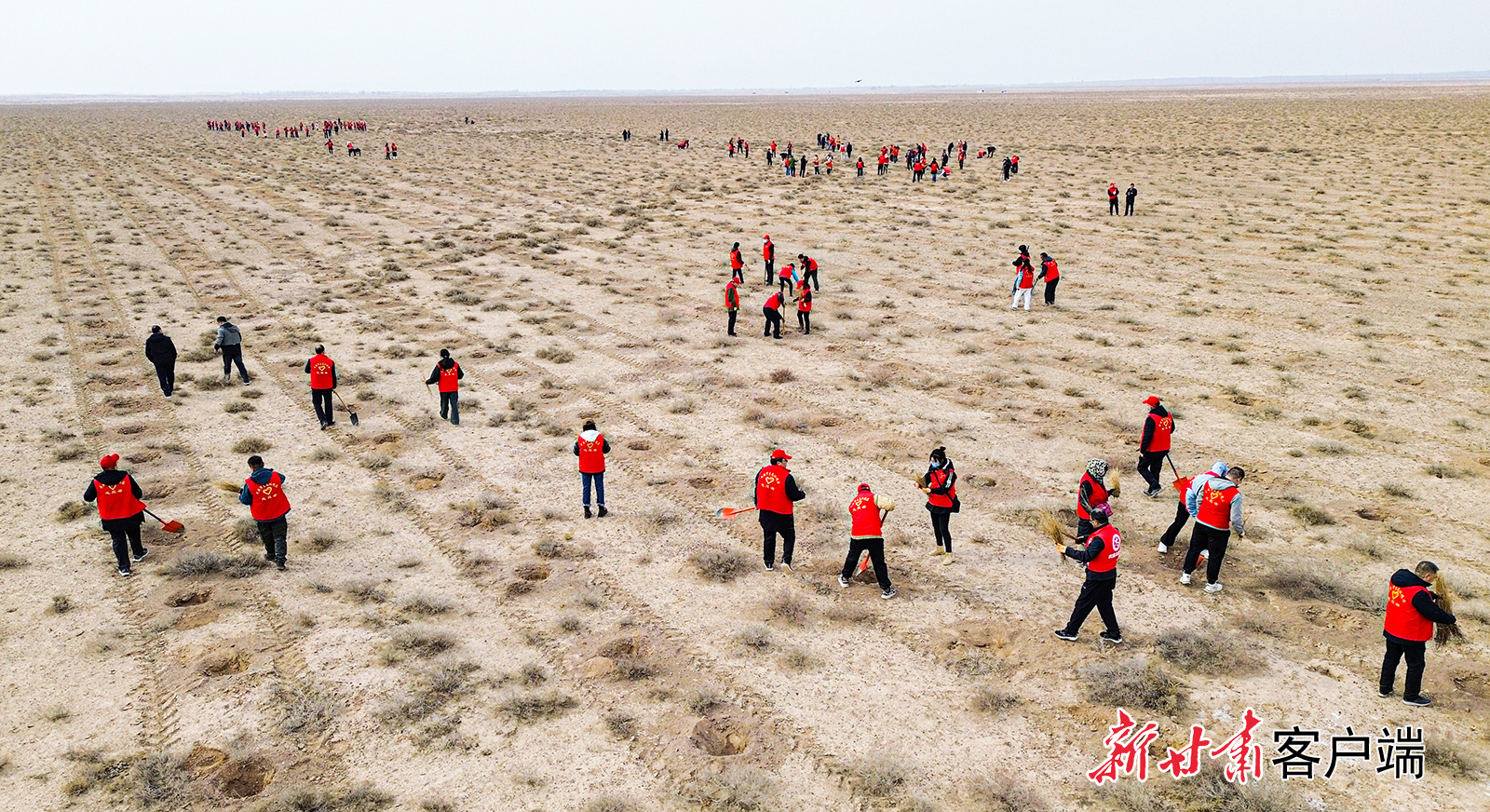 3月6日，武威市直机关干部职工5000多人，赴民勤县昌宁西沙窝四方墩青梭公益生态林基地开展义务植树活动，将一棵棵梭梭树苗栽入沙地，为沙漠再添新绿。新甘肃&middot;甘肃日报通讯员　王丽　韩筱蓓