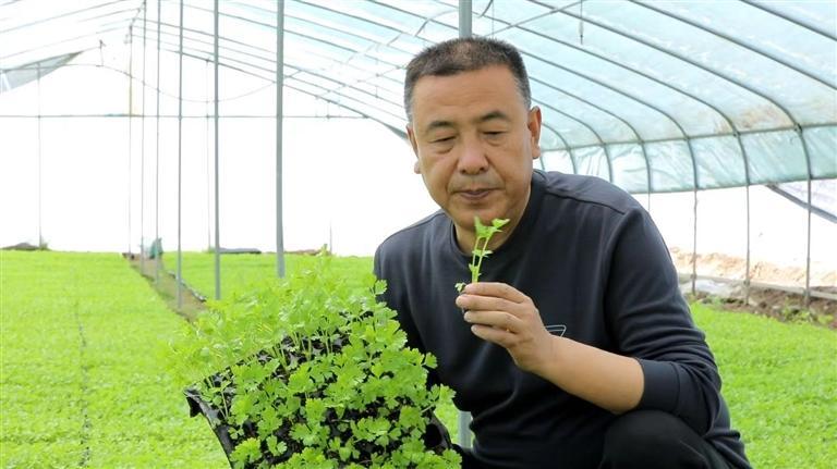 谢成俊