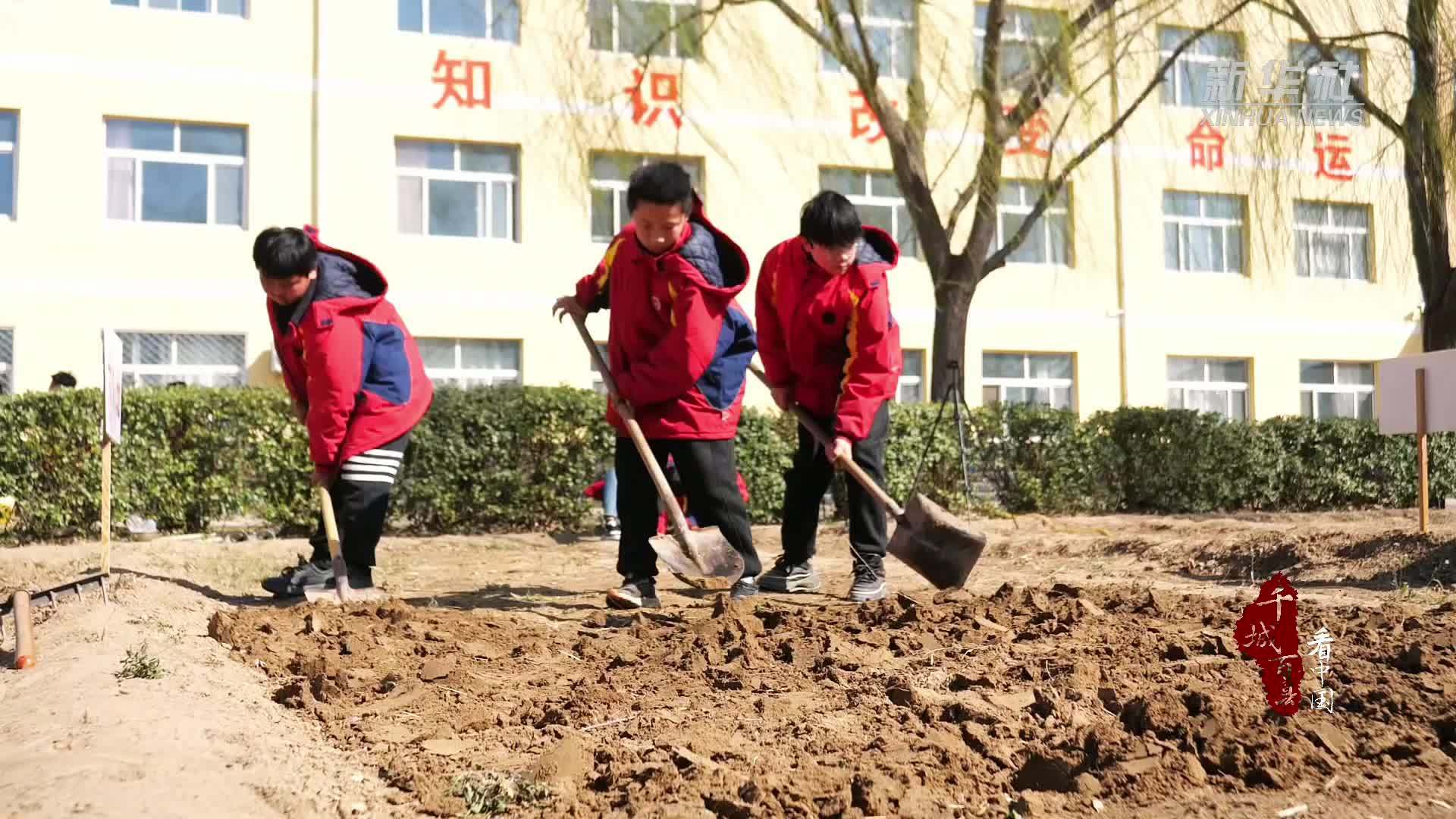 千城百县看中国｜河北献县：创新劳动实践基地模式 赋能学生全面发展