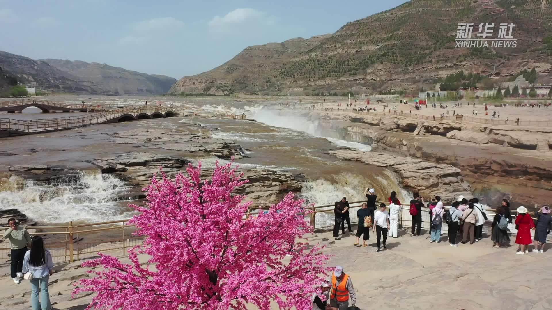 新华全媒+｜“桃花汛”上线 邂逅春日盛景