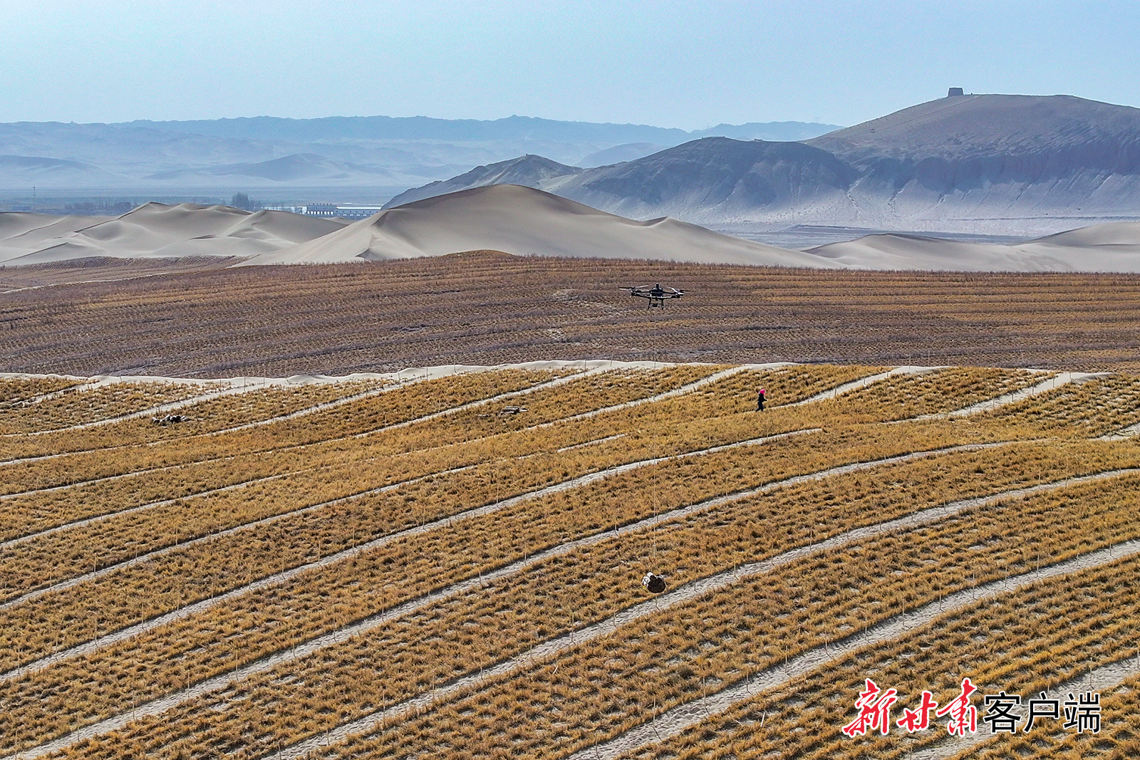 从无人机技术到光伏治沙，从沙生植物研究到机械化设备研发……近年来，我省在防沙治沙领域中的多元探索，为荒漠化治理贡献了“甘肃智慧”，也为实现绿进沙退的美丽愿景奠定了坚实基础。新甘肃&middot;甘肃日报记者　郁婕　丁凯