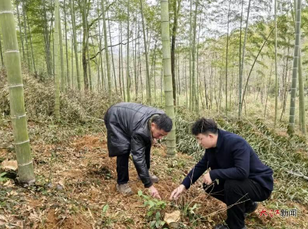 江西德兴市林业局长 德兴市首笔林权收储担