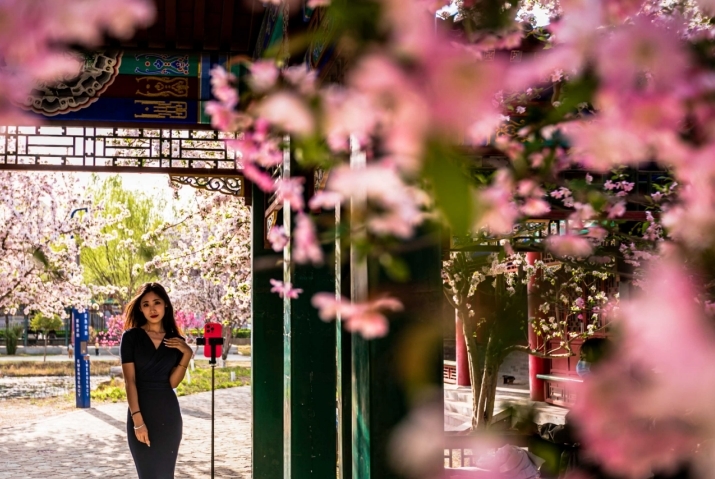 【组图】河北沧州：游人踏青共赏“花花世界”