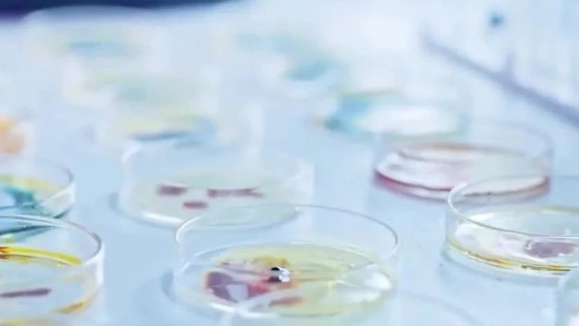 细菌与肿瘤关系揭秘