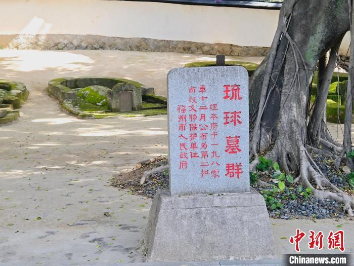 图为琉球墓园内一角。叶艺琳摄