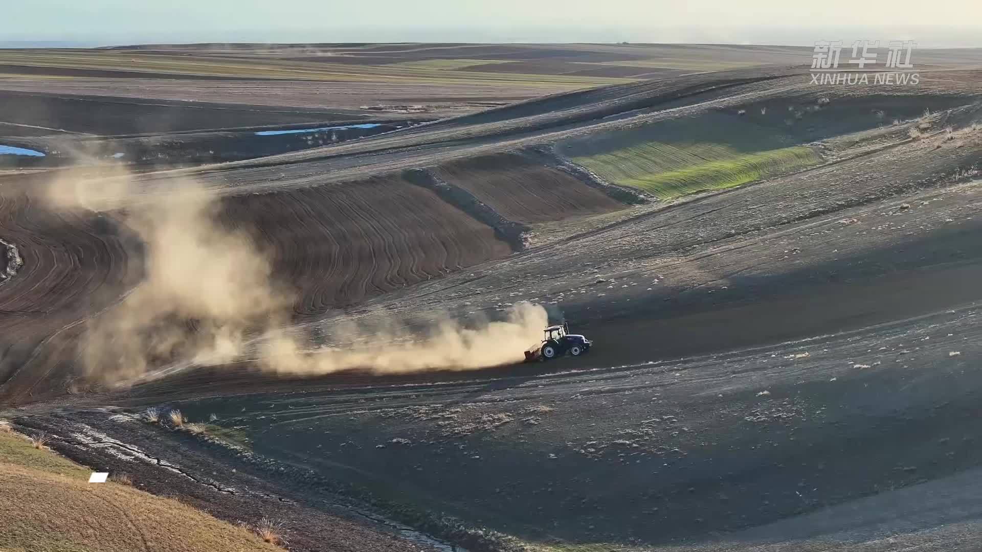 瞰中国｜新疆昌吉：雪山下的万亩良田