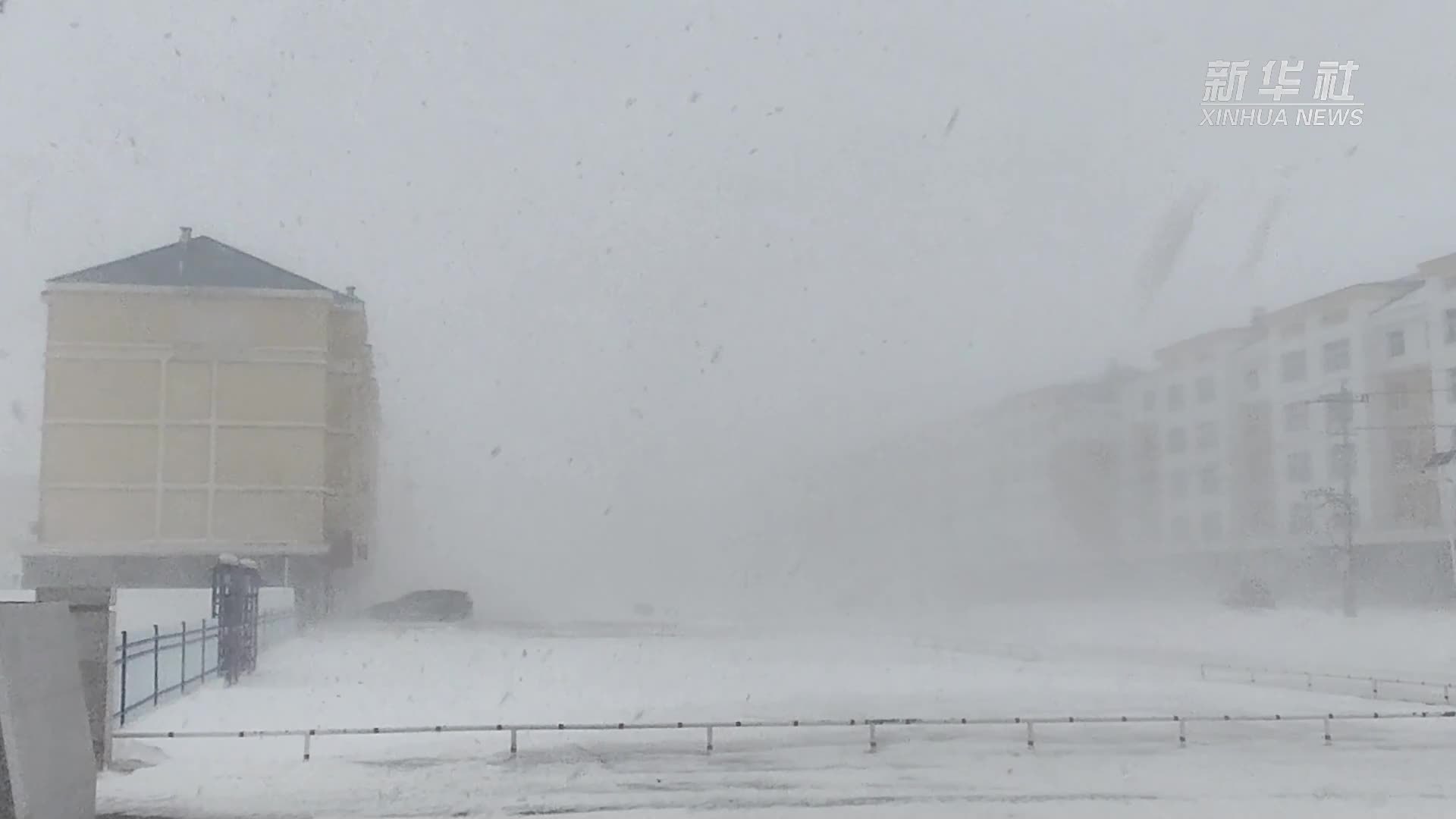 内蒙古呼伦贝尔：巡护电网应对大风寒潮天气