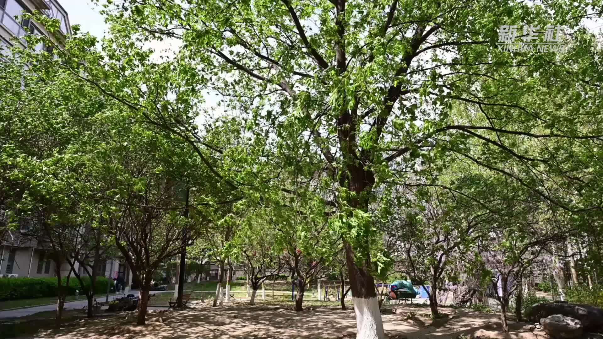 微纪录｜强风下的“逆行者”