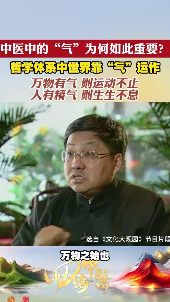 中医中的“气”为何如此重要？
