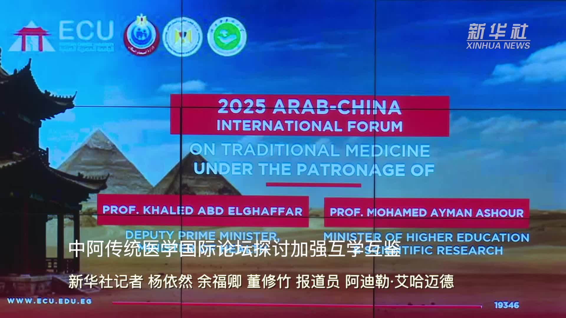 中阿传统医学国际论坛探讨加强互学互鉴