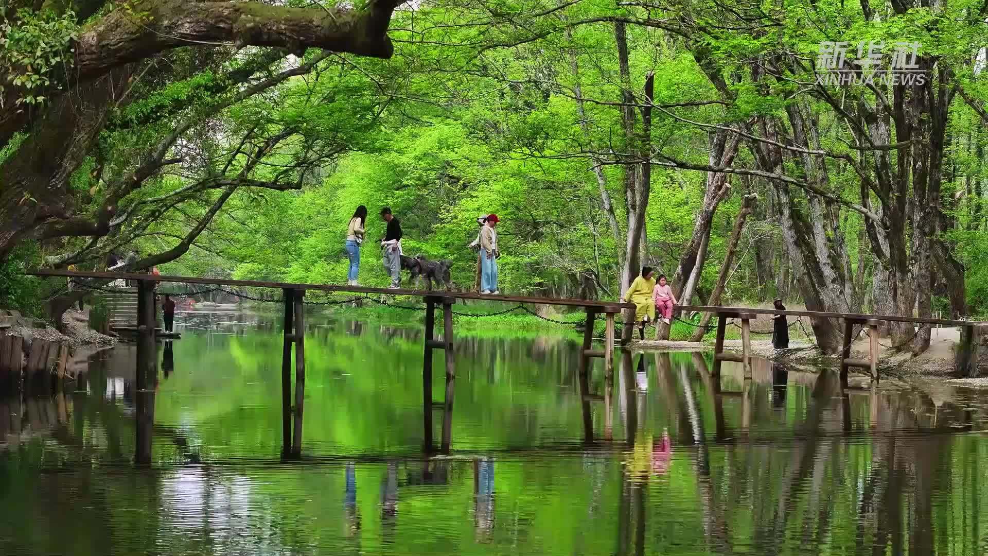 安徽黄山：绿野仙踪西溪南